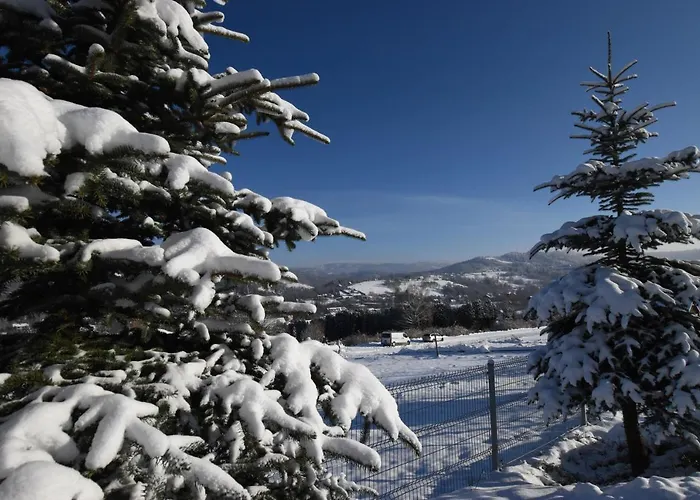 Magic & Bike Apartment Wisla